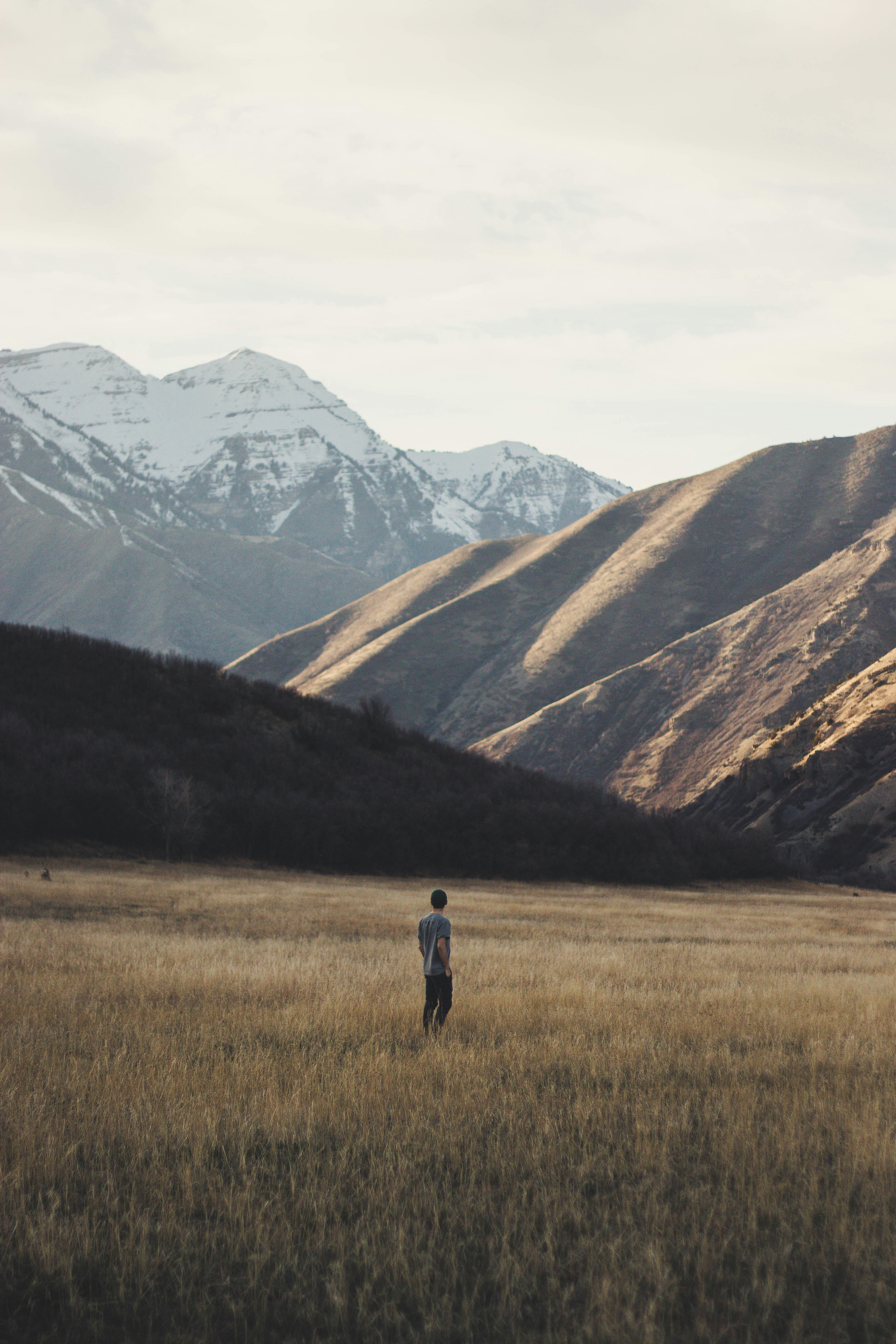 Person walking alone in nature